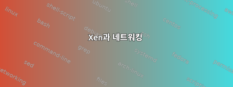 Xen과 네트워킹