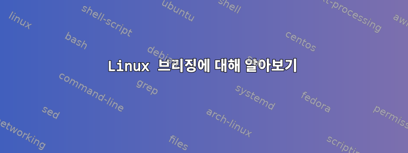 Linux 브리징에 대해 알아보기