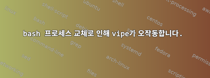 bash 프로세스 교체로 인해 vipe가 오작동합니다.