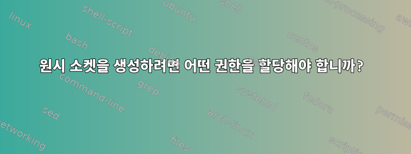 원시 소켓을 생성하려면 어떤 권한을 할당해야 합니까?