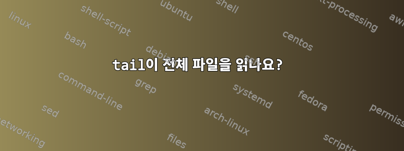 tail이 전체 ​​파일을 읽나요?