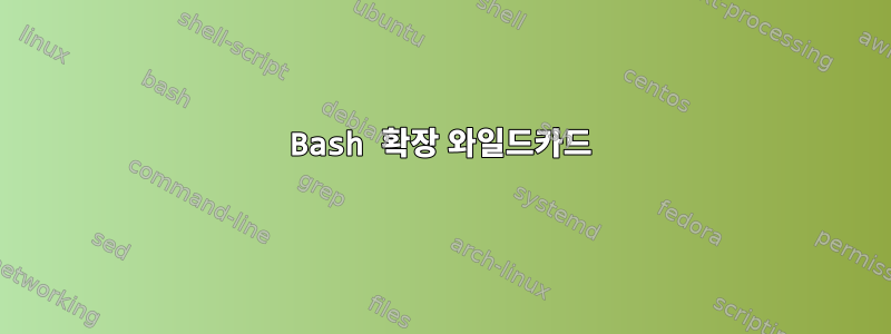 Bash 확장 와일드카드