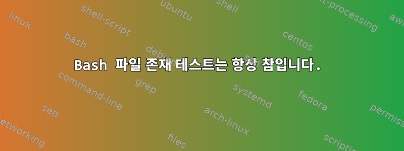 Bash 파일 존재 테스트는 항상 참입니다.