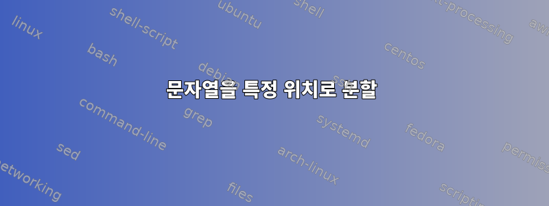 문자열을 특정 위치로 분할