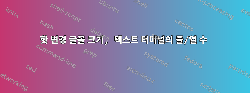 핫 변경 글꼴 크기, 텍스트 터미널의 줄/열 수