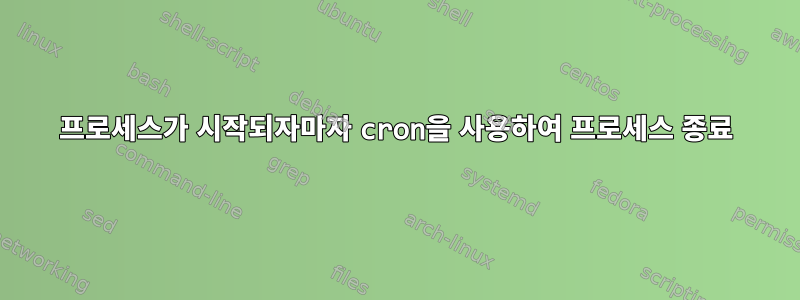 프로세스가 시작되자마자 cron을 사용하여 프로세스 종료