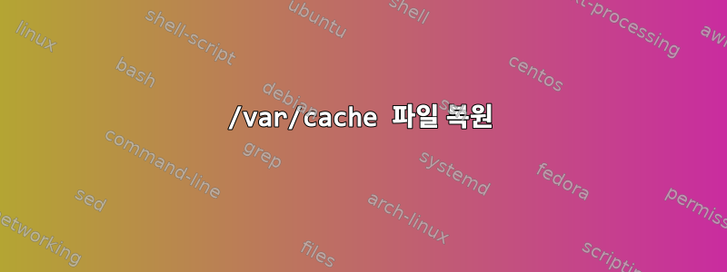 /var/cache 파일 복원