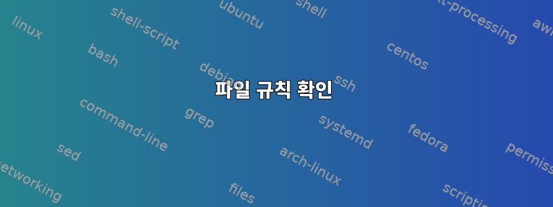 파일 규칙 확인