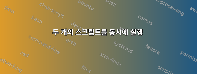 두 개의 스크립트를 동시에 실행