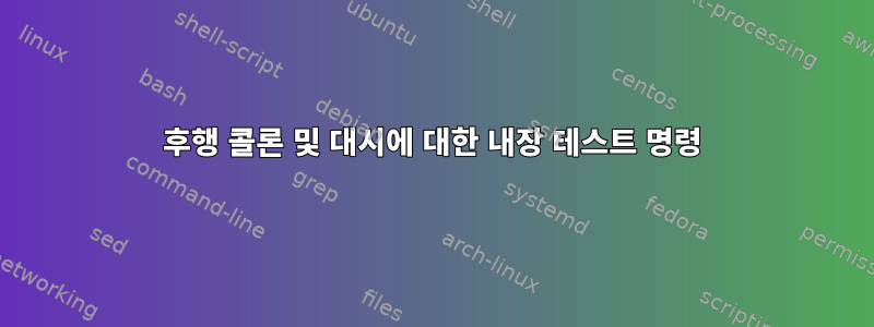 후행 콜론 및 대시에 대한 내장 테스트 명령