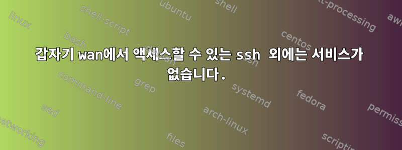 갑자기 wan에서 액세스할 수 있는 ssh 외에는 서비스가 없습니다.