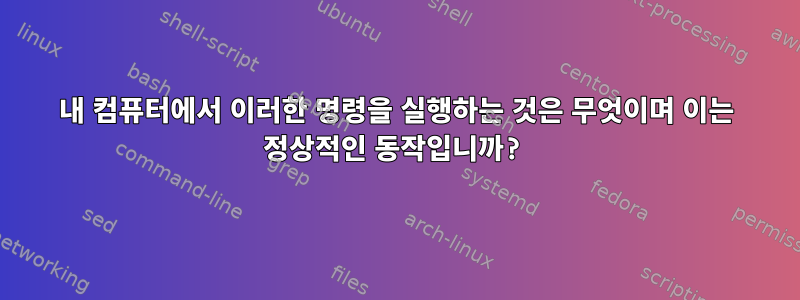 내 컴퓨터에서 이러한 명령을 실행하는 것은 무엇이며 이는 정상적인 동작입니까?