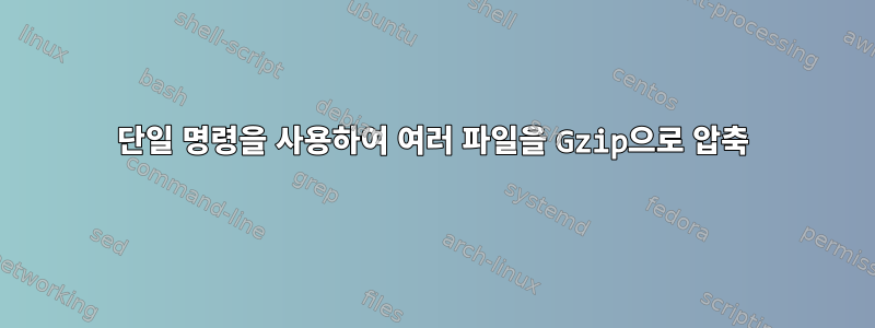 단일 명령을 사용하여 여러 파일을 Gzip으로 압축