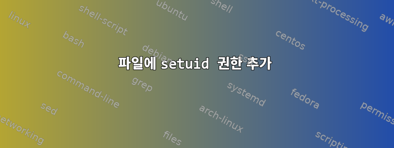 파일에 setuid 권한 추가