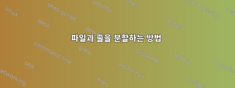 파일과 줄을 분할하는 방법