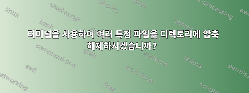 터미널을 사용하여 여러 특정 파일을 디렉토리에 압축 해제하시겠습니까?