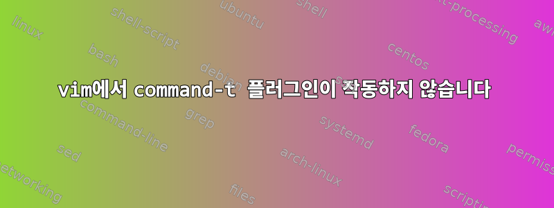 vim에서 command-t 플러그인이 작동하지 않습니다