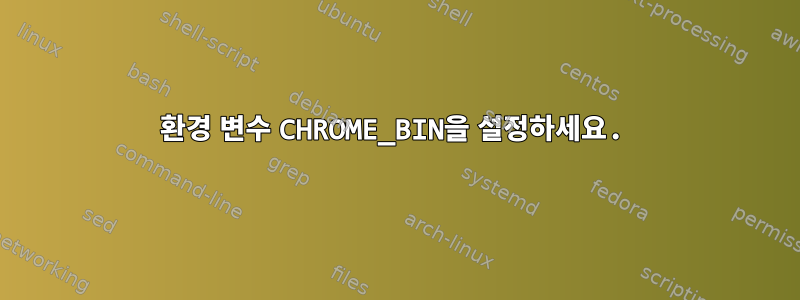 환경 변수 CHROME_BIN을 설정하세요.