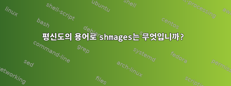 평신도의 용어로 shmages는 무엇입니까?