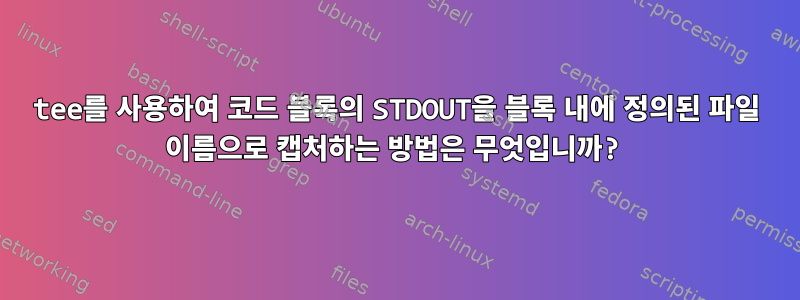 tee를 사용하여 코드 블록의 STDOUT을 블록 내에 정의된 파일 이름으로 캡처하는 방법은 무엇입니까?