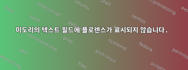 미도리의 텍스트 필드에 플로렌스가 표시되지 않습니다.