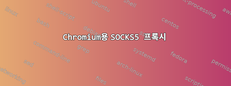 Chromium용 SOCKS5 프록시