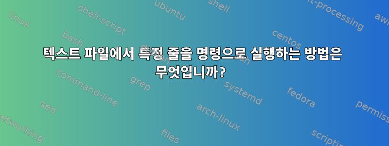 텍스트 파일에서 특정 줄을 명령으로 실행하는 방법은 무엇입니까?