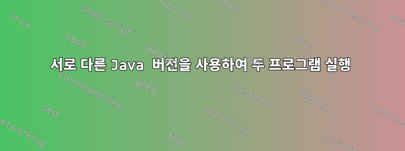 서로 다른 Java 버전을 사용하여 두 프로그램 실행