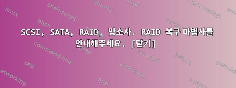 SCSI, SATA, RAID, 맙소사. RAID 복구 마법사를 안내해주세요. [닫기]