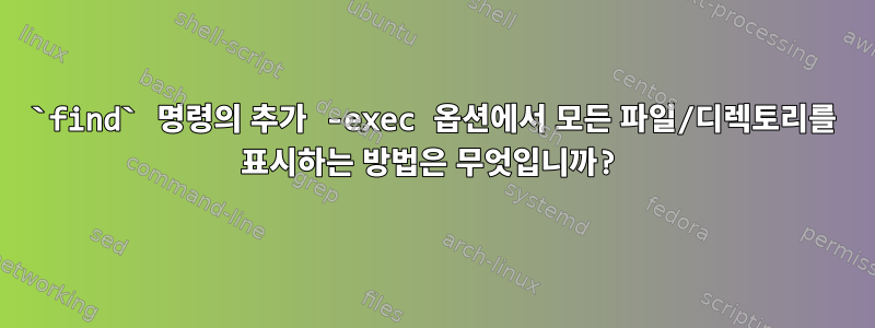 `find` 명령의 추가 -exec 옵션에서 모든 파일/디렉토리를 표시하는 방법은 무엇입니까?