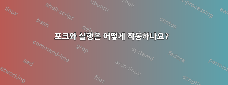 포크와 실행은 어떻게 작동하나요?