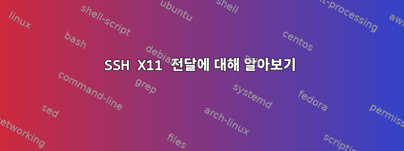 SSH X11 전달에 대해 알아보기