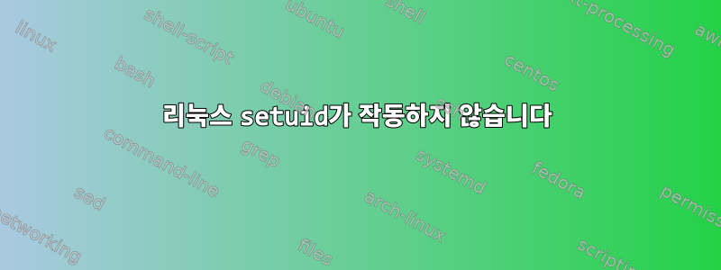 리눅스 setuid가 작동하지 않습니다