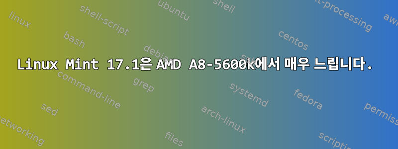 Linux Mint 17.1은 AMD A8-5600k에서 매우 느립니다.