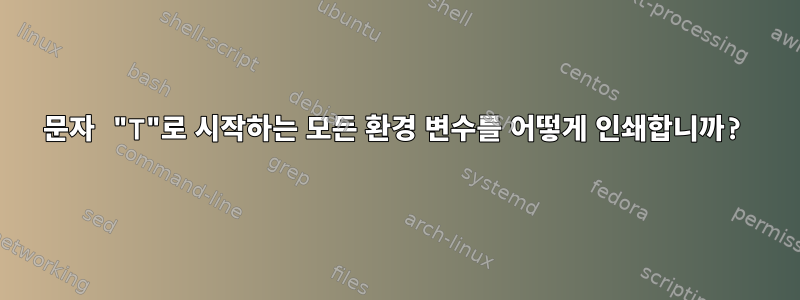 문자 "T"로 시작하는 모든 환경 변수를 어떻게 인쇄합니까?