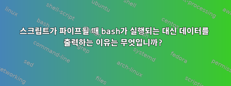 스크립트가 파이프될 때 bash가 실행되는 대신 데이터를 출력하는 이유는 무엇입니까?