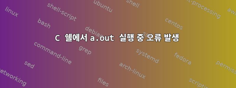 C 쉘에서 a.out 실행 중 오류 발생