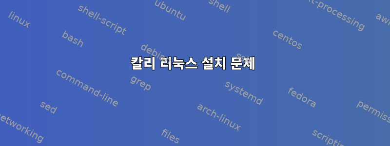 칼리 리눅스 설치 문제