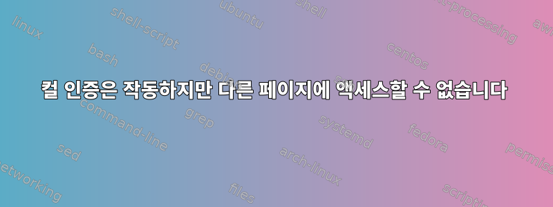 컬 인증은 작동하지만 다른 페이지에 액세스할 수 없습니다