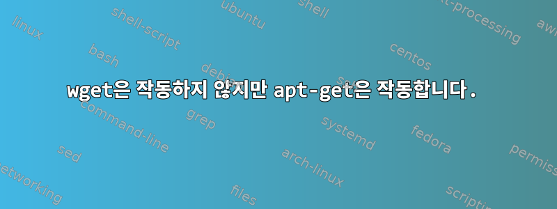 wget은 작동하지 않지만 apt-get은 작동합니다.