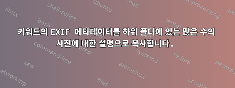 키워드의 EXIF ​​메타데이터를 하위 폴더에 있는 많은 수의 사진에 대한 설명으로 복사합니다.