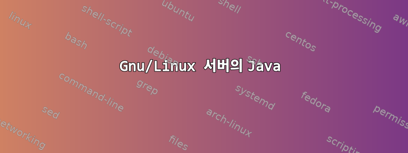 Gnu/Linux 서버의 Java