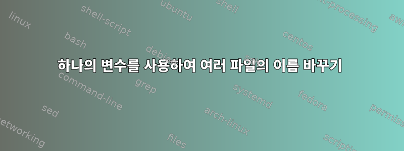 하나의 변수를 사용하여 여러 파일의 이름 바꾸기