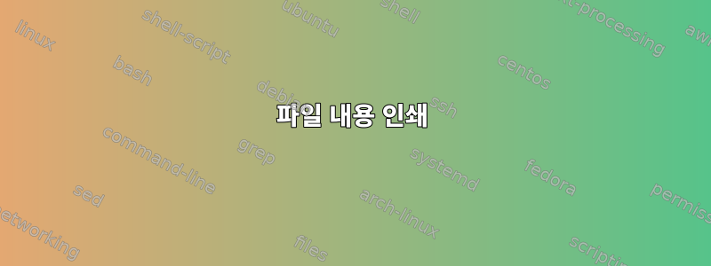 파일 내용 인쇄