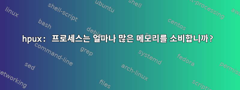 hpux: 프로세스는 얼마나 많은 메모리를 소비합니까?