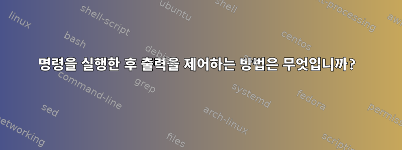 명령을 실행한 후 출력을 제어하는 ​​방법은 무엇입니까?