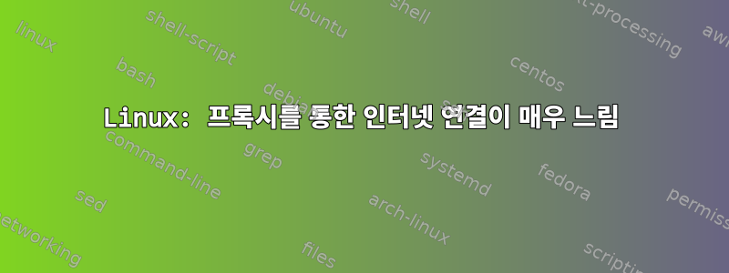 Linux: 프록시를 통한 인터넷 연결이 매우 느림