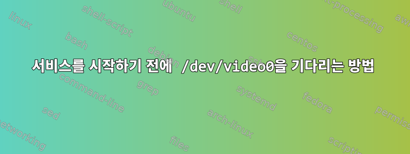 서비스를 시작하기 전에 /dev/video0을 기다리는 방법