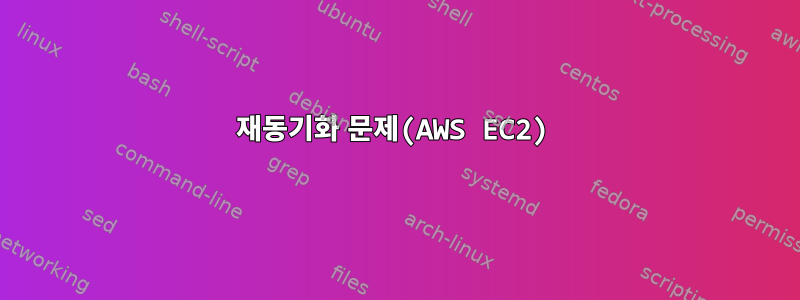 재동기화 문제(AWS EC2)