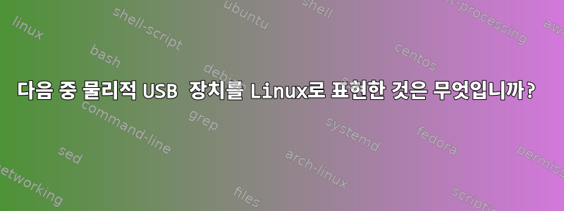 다음 중 물리적 USB 장치를 Linux로 표현한 것은 무엇입니까?